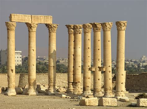 Filecolumns In Palmyra Wikimedia Commons