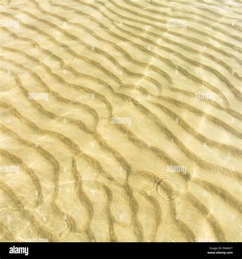 Transparent Water Ripple Sand Waves And Sunlight Glare Sea Floor