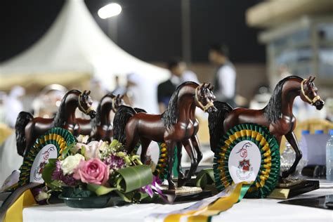 Abu Dhabi International Arabian Horse Championship 11 15 February 2017