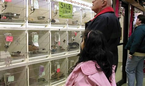 Petco's welcome to the family new pet parent starter guide provides new pet parents substantial benefits with hundreds of dollars worth of coupons. Proposed Bill Would Make New York the 3rd State to Ban ...