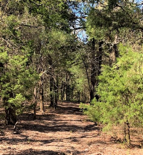 16.47 acres in Henderson County, Texas