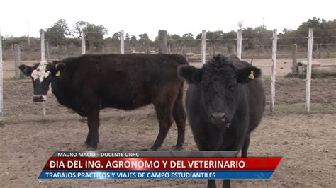 Ingeniero agrónomo con mínimo dos años de experiencia como profesional del área de producción en empresas de flores (… importante empresa requiere para su equipo de trabajo ingeniero agrónomo con experiencia de 3 a 5 años en temas relacionados con innovación en productos… DIA DEL INGENIERO AGRÓNOMO Y DEL MÉDICO VETERINARIO - YouTube