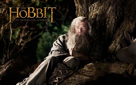 An unexpected journey directed by peter jackson for £8.99. The Hobbit: An Unexpected Journey - The Hobbit Wallpaper ...