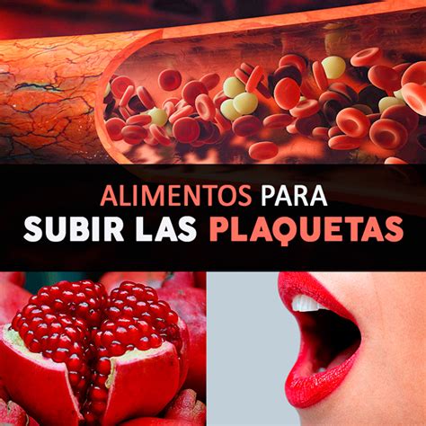 Son más pequeñas que los glóbulos rojos y los blancos. 10 alimentos para subir las plaquetas que saben delicioso ...