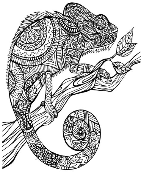 35+ chameleon coloring pages for printing and coloring. Animal Mandala Chameleon Clipart