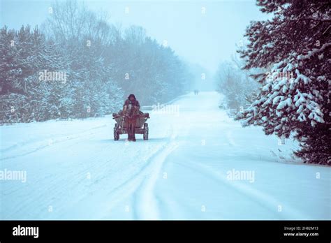 A man rides in a horse-drawn cart on the winter snowy road Stock Photo
