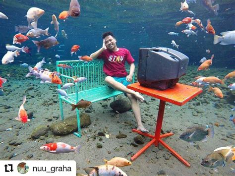 Kurang lebih sudah buka sekitar dua minggu, sejak 17 mei 2021. √ Tiket Masuk Umbul Ponggok 2021, Jam Buka & Penginapan
