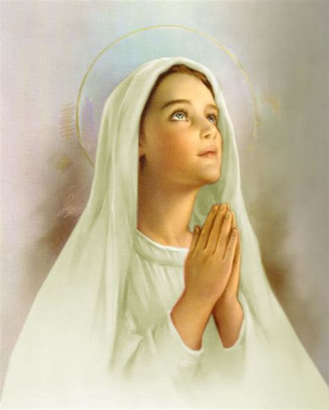 Amigs De Maria Mi Experiencia Con La Virgen Maria