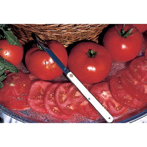 Fantastic Hybrid Tomato Medium Large Tomato Seeds