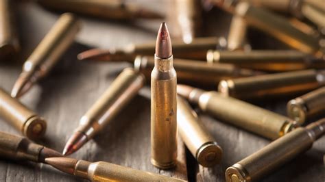 Lead Ammunition Poses Real Risks Why Wont Gun Owners Switch