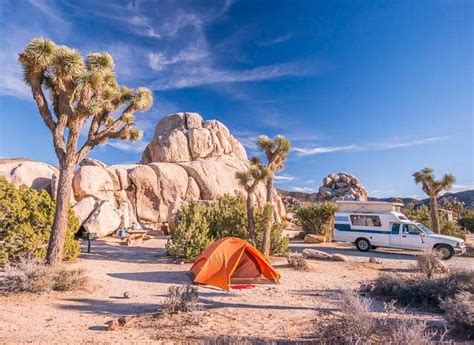 The joshua tree area has two blm campgrounds. Hintd - Camping | Joshua tree camping, Joshua tree ...