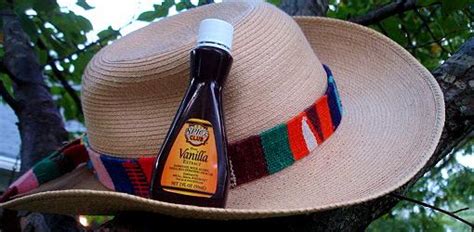 How to Control Gnats Outdoors - Today's Homeowner