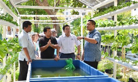 Detect language english german french italian spanish. Pertanian dalam bandar jadikan makanan organik lebih mampu ...
