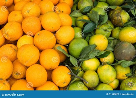 Oranges Stock Image Image Of Oranges Orange Tangerine 31516827