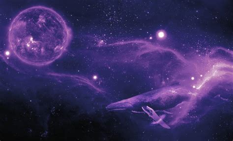 Galaxy Whale Wallpapers Top Free Galaxy Whale Backgrounds