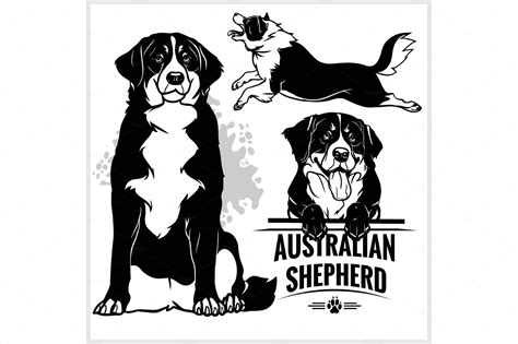Use the free 3d home design software to bring your ideas and creations to life in 2d & 3d. Australian Shepherd dog - vector set | Pre-Designed Vector ...