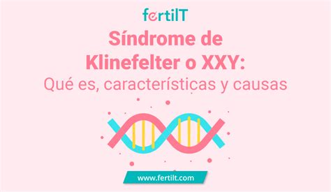 Síndrome de Klinefelter o XXY Qué es características y causas