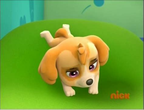 Skye The Cockapoo Paw Patrol Photo 40127277 Fanpop