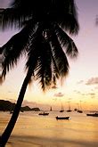 Travel, Caribbean beach sunset, St Vincent, Bequia harbor | David ...