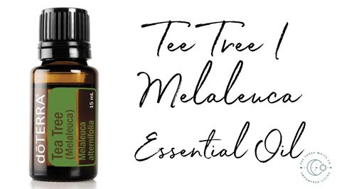 How To Use Doterra Tee Tree Melaleuca The Oil Of Energetic