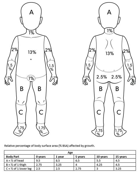 Introduction To Burns Physiopedia