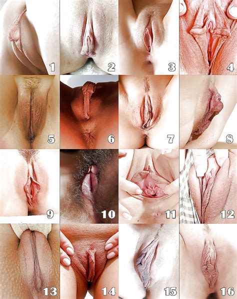 Whats Your Favorite Type Of Pussy 8 Pics