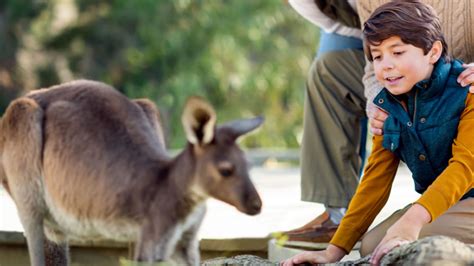 San Diego Zoo Wildlife Alliance Abrirá Denny Sanford Wildlife Explorers