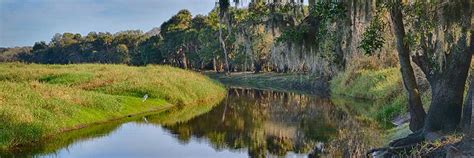 Florida Rivers, Creeks, & Streams | Florida Smart