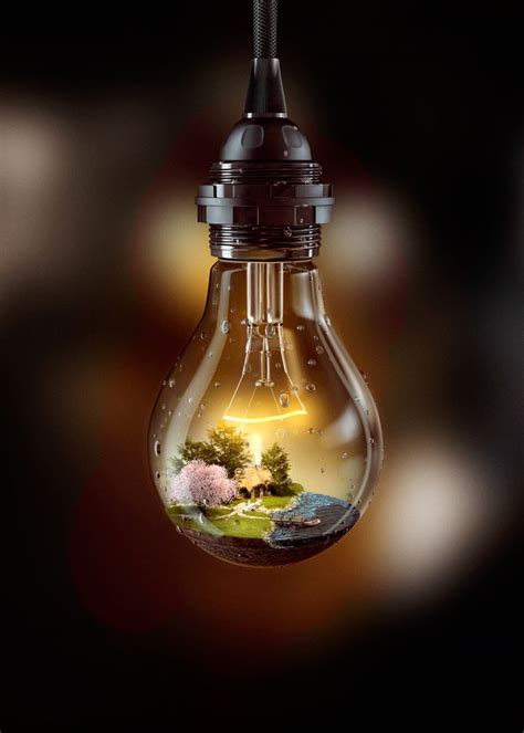 Light Bulb Of Life On Behance Light Bulb Art Bulb Photography