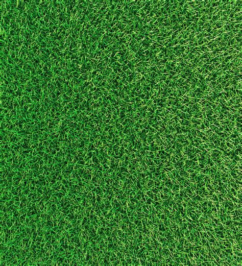 🔥 Free Download Grass Texture Wallpaper Grass Texture Wallpaper