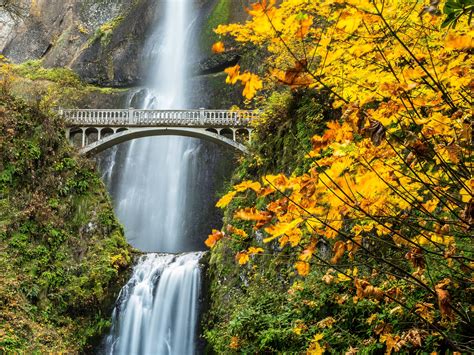 Multnomah Falls Columbia River Gorge Oregon Waterfall Autumn Wallpapers Hd Desktop And