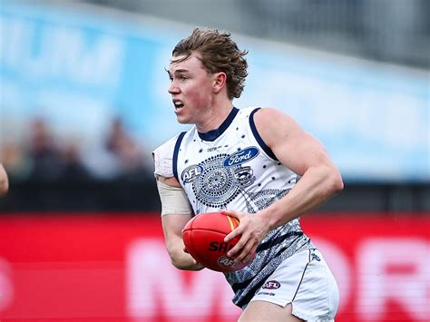 Geelong Cats Tanner Bruhn Seeing His Own Development In 2023 Daily