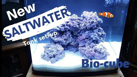 New Biocube Saltwater Tank Setup Youtube