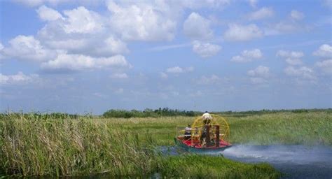 The Everglades Travel Guide Expert Picks For Your Everglades Vacation