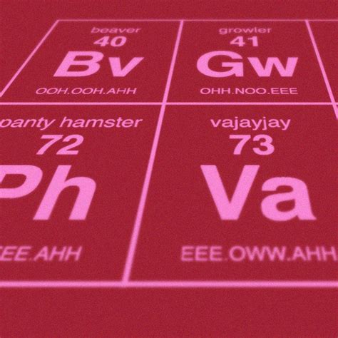Periodic Table Of Sexual Terminology Screen Print Dorothy