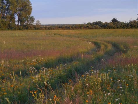 Audubon society purchases native prairie near Schuyler | Nebraska News ...
