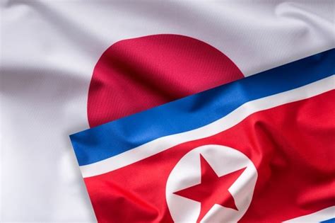 Premium Photo North And South Korea Flag Colorful South And North