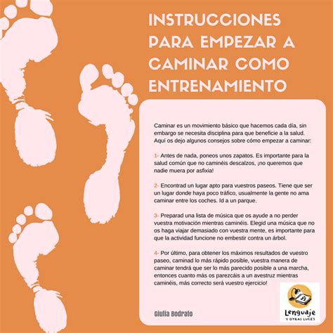 Manual De Instrucciones Lenguaje Y Otras Luces Lenguaje Imperativo