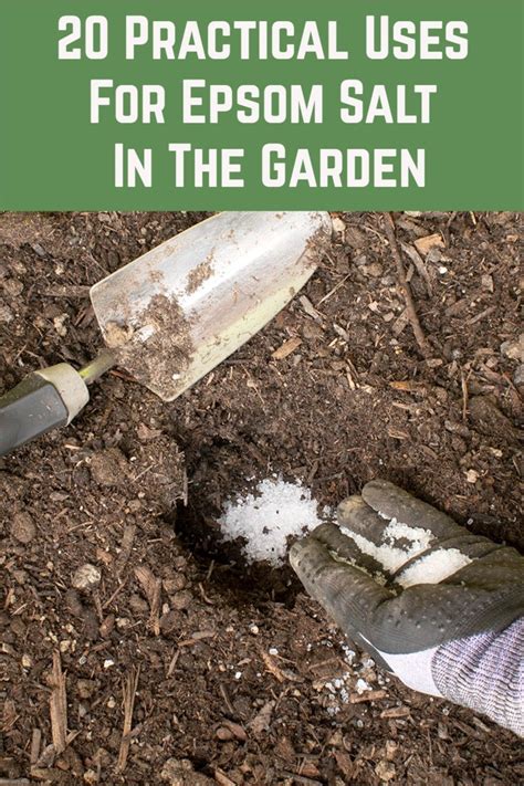 20 Practical Uses For Epsom Salt In The Garden In 2020 Backyard