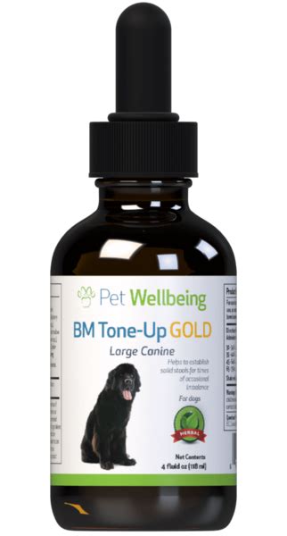 Dog Diarrhea In Dogs Bm Tone Up Gold Natural Treatment Was