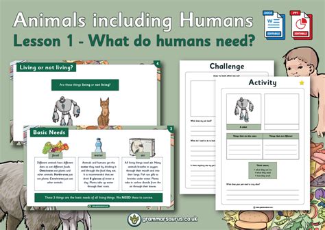 Year 2 Science Animals Including Humans What Do Humans Need Lesson
