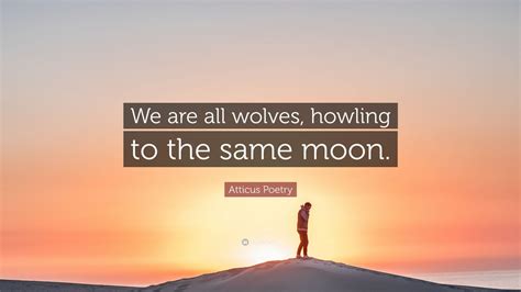 Atticus Poetry Quote We Are All Wolves Howling To The Same Moon