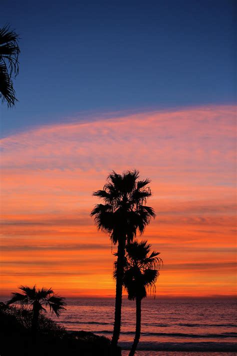 Beautiful solana beach featured on neighborhoods.com. Solana Beach, San Diego County Photograph by Jolly Sienda