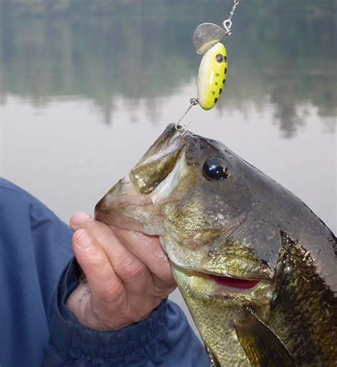 Top Places For Bass Fishing In Wyoming Game And Fish