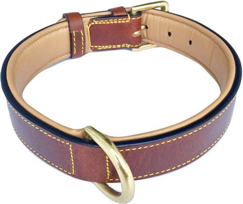 The 25 Best Dog Collars Of 2019 Pet Life Today