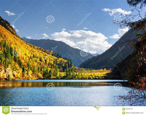 Beautiful View Of The Panda Lake Among Colorful Fall Woods Stock Image