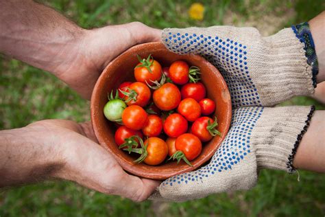 How Fresh Local Ingredients Benefit Your Customers And Your Restaurant