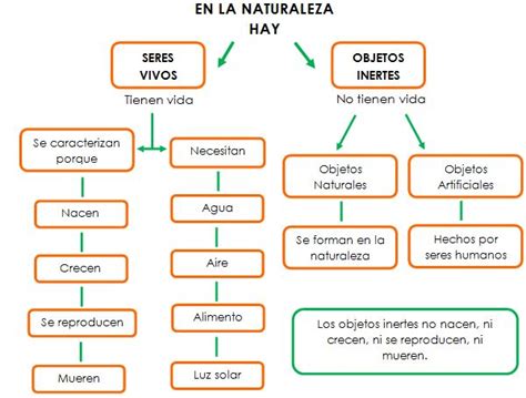 Todos A Aprender Seres Vivos E Inertes