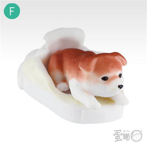 Orthographic borrowing from japanese 柴犬 (shiba inu). 柴犬與運動鞋公仔-蛋舖～線上轉蛋就素快!!