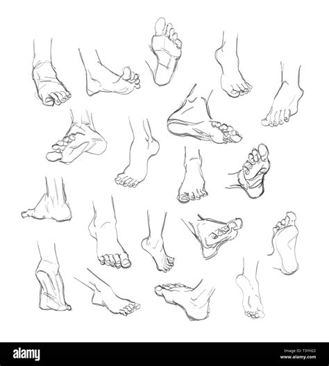 Foot doodle. hand drawn sketch. illustration Stock Vector Image & Art